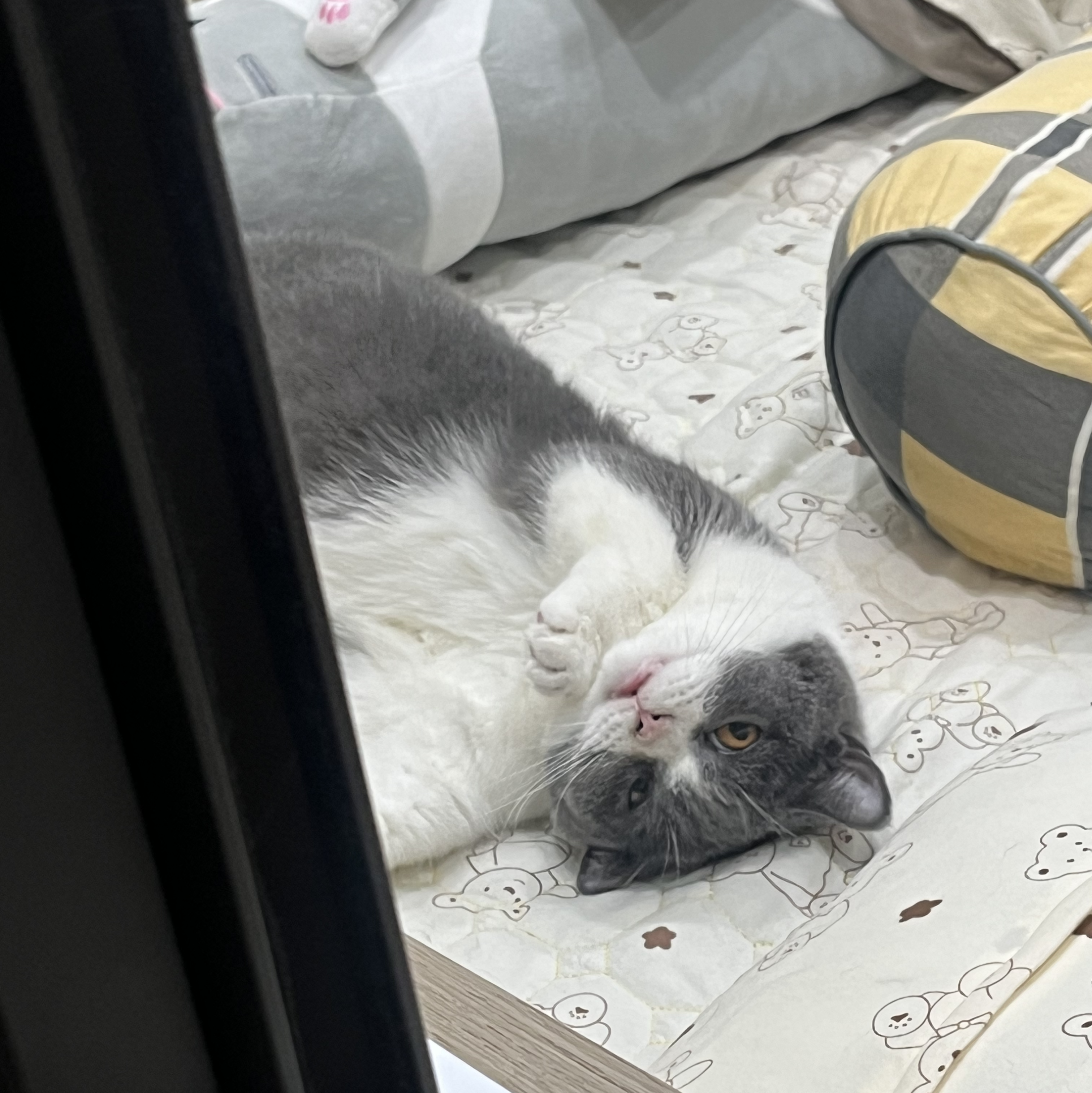 I don't know what she's doing